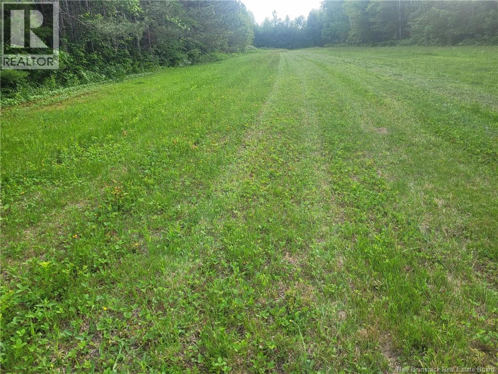 400 Bellefond Road, Bellefond, New Brunswick  E1V 4T6 - Photo 36 - NB129404