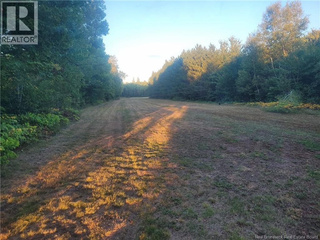 400 Bellefond Road, Bellefond, New Brunswick  E1V 4T6 - Photo 38 - NB129404