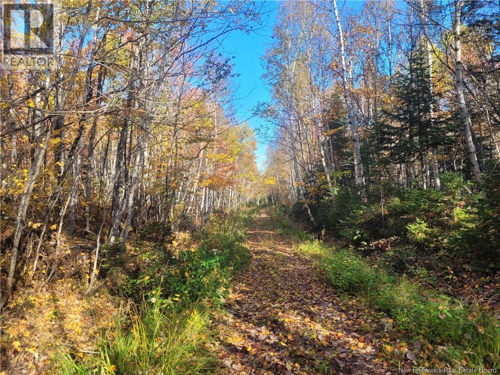 400 Bellefond Road, Bellefond, New Brunswick  E1V 4T6 - Photo 5 - NB129404