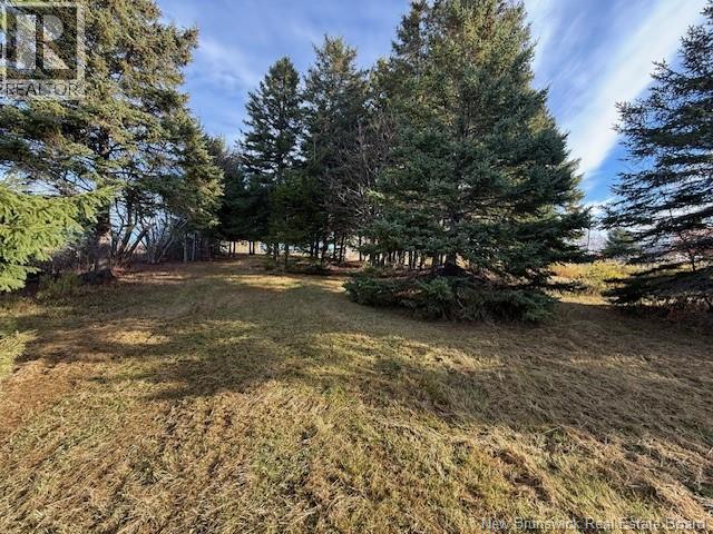 61 Laviolette Road, Belledune, New Brunswick  E8G 2G3 - Photo 28 - NB129353