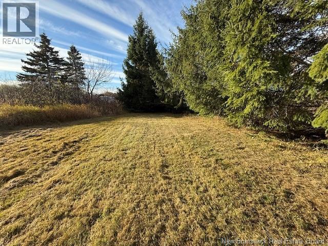 61 Laviolette Road, Belledune, New Brunswick  E8G 2G3 - Photo 29 - NB129353