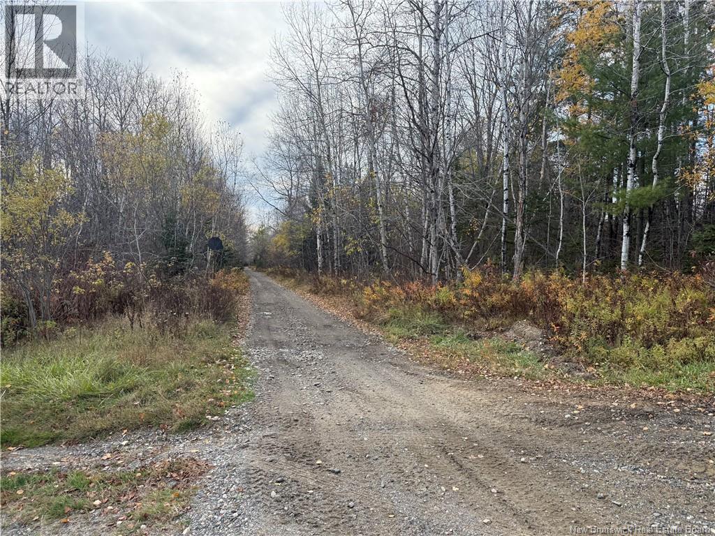 9394 Route 8 Route, Blissfield, New Brunswick  E9C 1Z3 - Photo 22 - NB129388