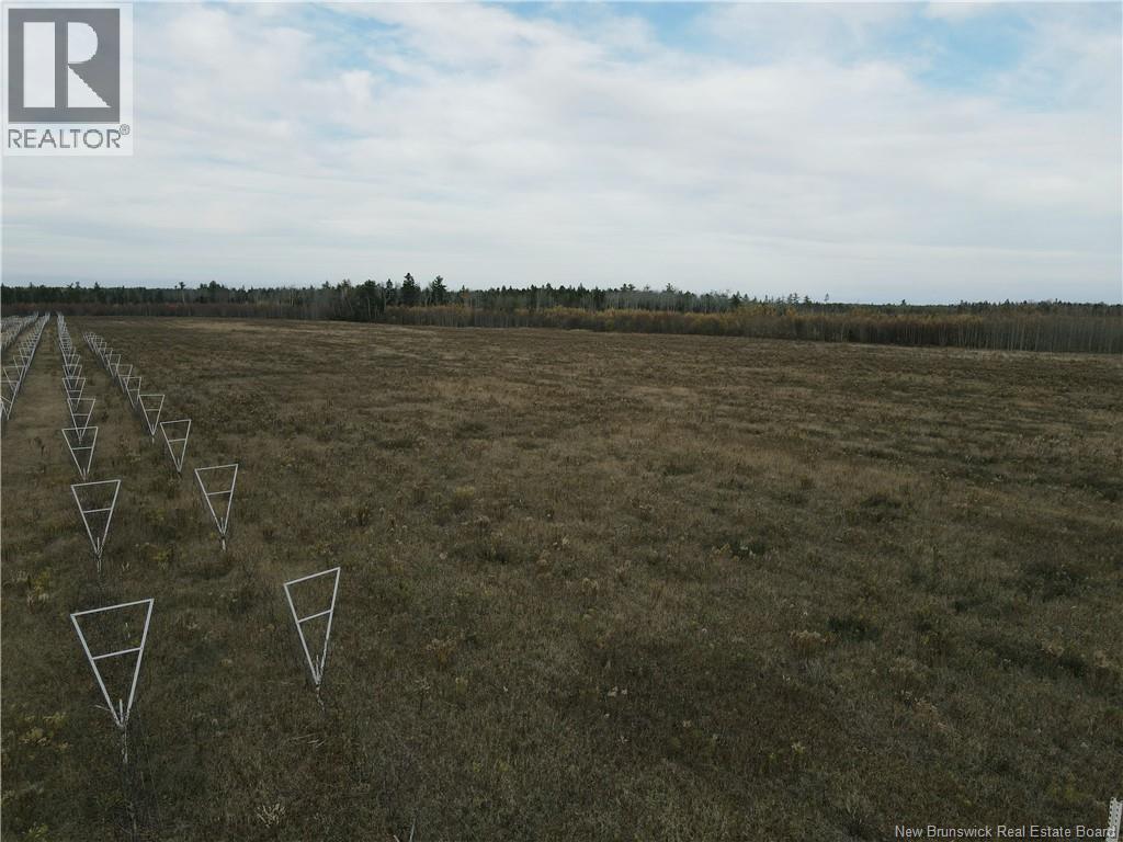 Lot Ch Perry, Sainte-Anne-De-Kent, New Brunswick  E4S 1C4 - Photo 4 - NB129422