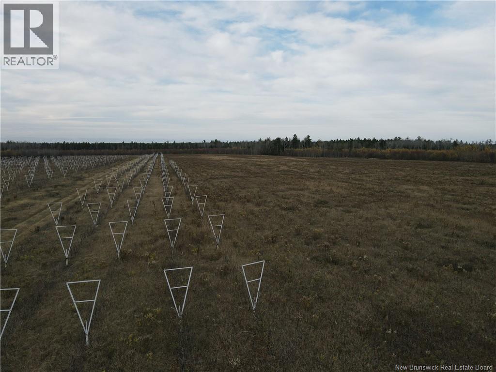 Lot Ch Perry, Sainte-Anne-De-Kent, New Brunswick  E4S 1C4 - Photo 5 - NB129422