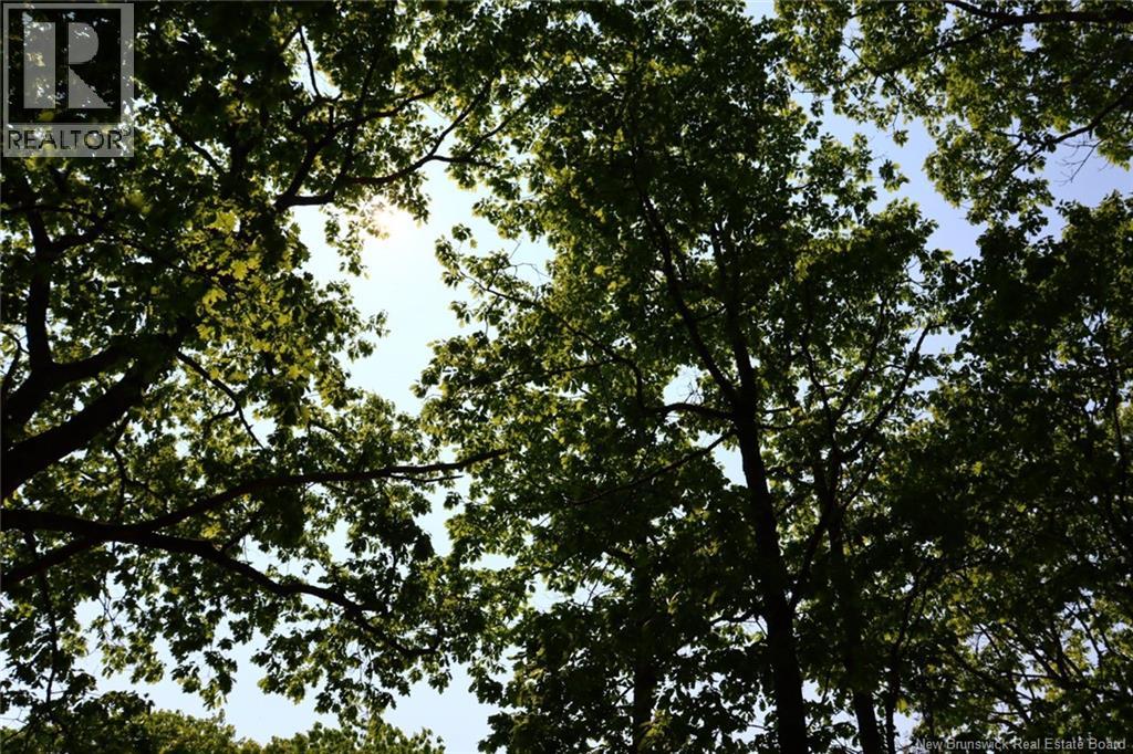 Hills Point Road, St. Stephen, New Brunswick  E3L 4K5 - Photo 10 - NB129420