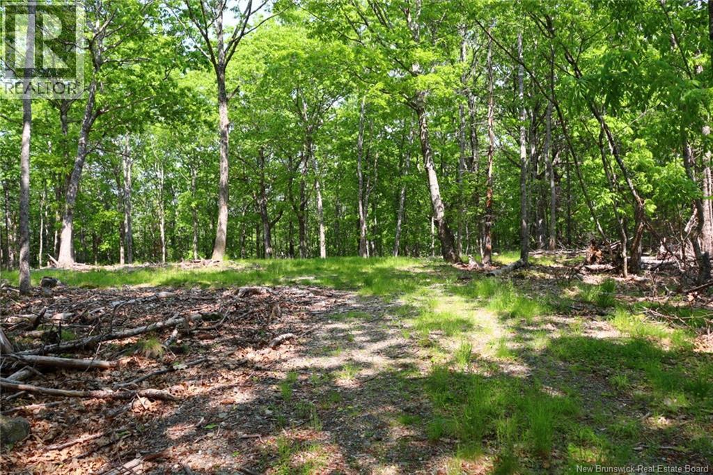 Hills Point Road, St. Stephen, New Brunswick  E3L 4K5 - Photo 5 - NB129420