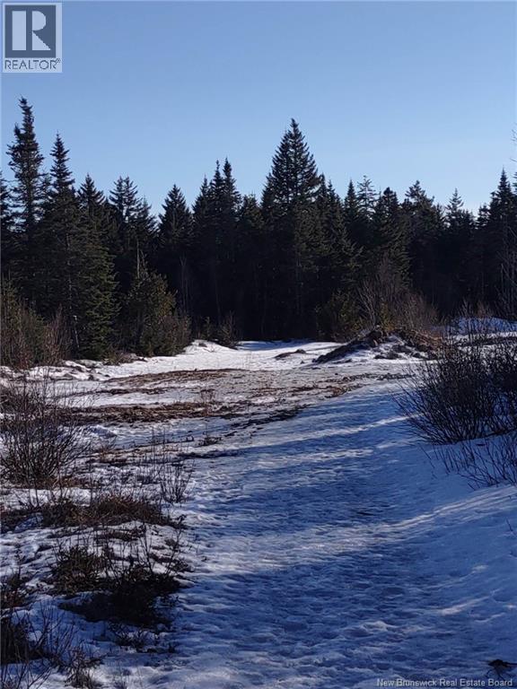 Little River Road, Saint John, New Brunswick  E2N 2E7 - Photo 2 - NB129400