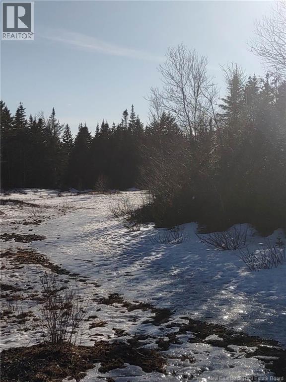 Little River Road, Saint John, New Brunswick  E2N 2E7 - Photo 3 - NB129400