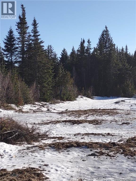 Little River Road, Saint John, New Brunswick  E2N 2E7 - Photo 4 - NB129400