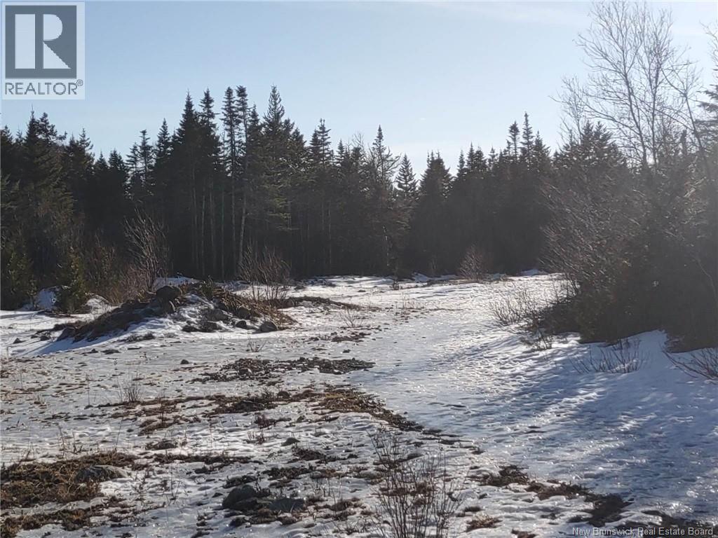 Little River Road, Saint John, New Brunswick  E2N 2E7 - Photo 7 - NB129400