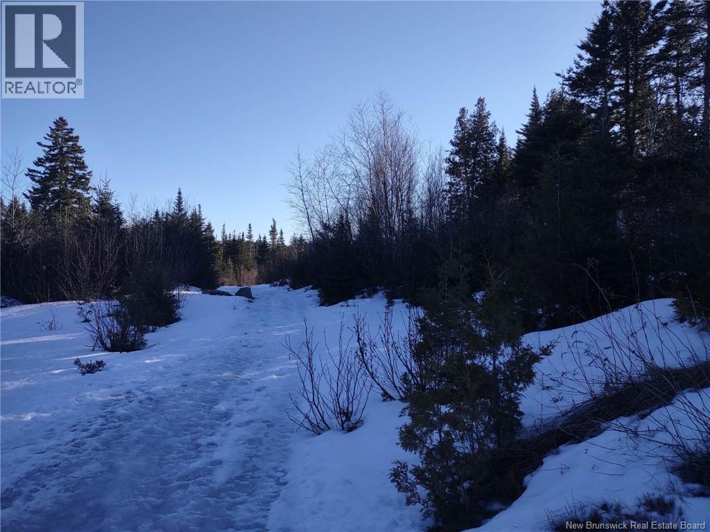 Little River Road, Saint John, New Brunswick  E2N 2E7 - Photo 8 - NB129400