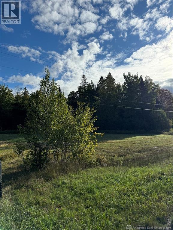 Vacant Lot Kouchibouguac Route 134, Kouchibouguac, New Brunswick  E4X 1X1 - Photo 3 - NB129425