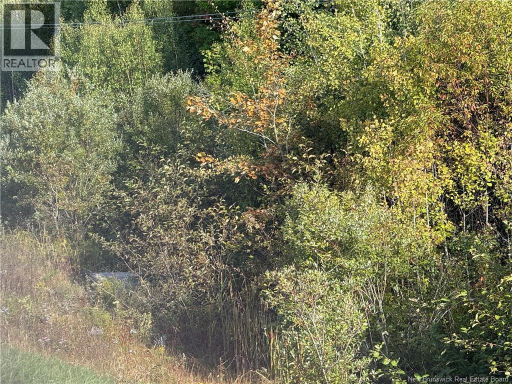 Vacant Lot Kouchibouguac Route 134, Kouchibouguac, New Brunswick  E4X 1X1 - Photo 6 - NB129425