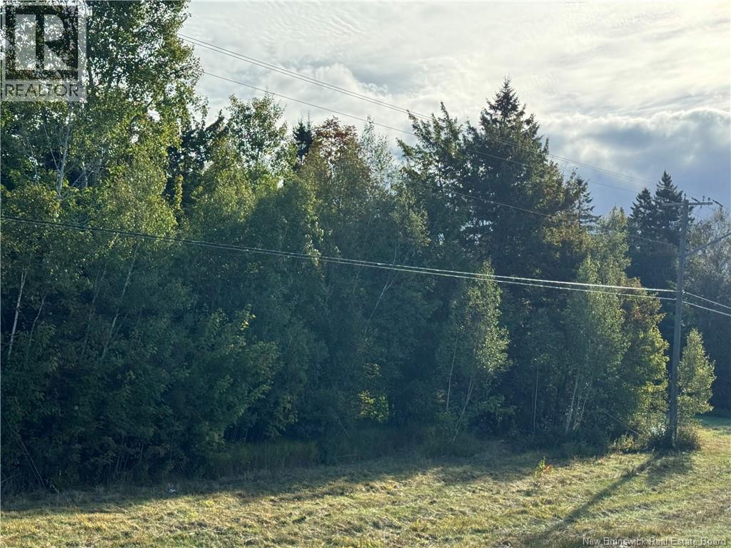 Vacant Lot Kouchibouguac Route 134, Kouchibouguac, New Brunswick  E4X 1X1 - Photo 7 - NB129425