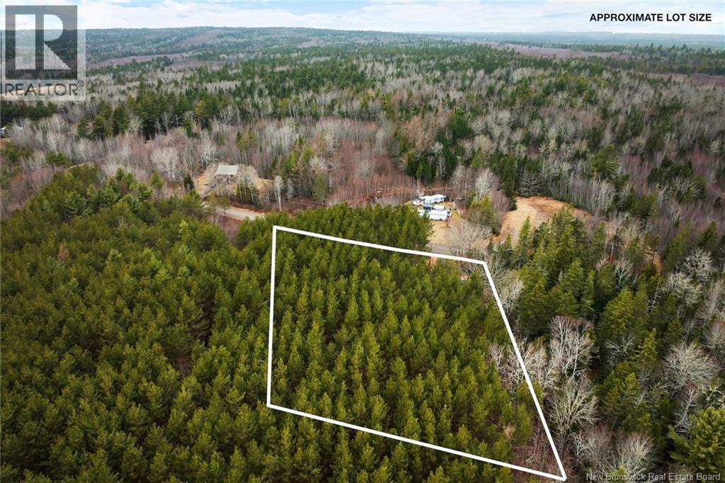 1723 Lakeview Road, Cambridge-Narrows, New Brunswick  E4C 1M5 - Photo 45 - NB129456