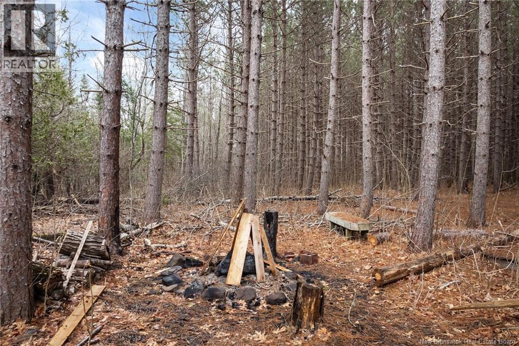 1723 Lakeview Road, Cambridge-Narrows, New Brunswick  E4C 1M5 - Photo 6 - NB129456