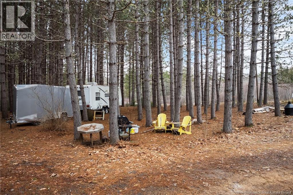 1723 Lakeview Road, Cambridge-Narrows, New Brunswick  E4C 1M5 - Photo 7 - NB129456