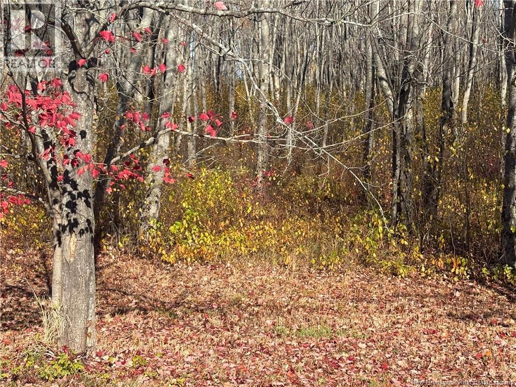 55 Old Ferry Road Unit# 205, Miramichi, New Brunswick  E1V 0C2 - Photo 15 - NB129435