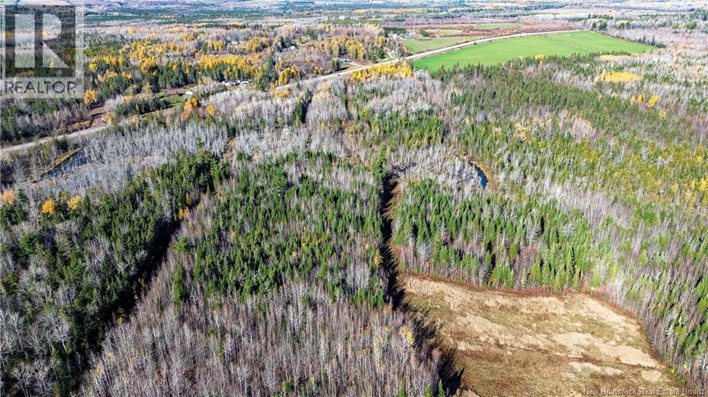 Lot Homestead Road, Salisbury, New Brunswick  O0O 0O0 - Photo 10 - NB129467