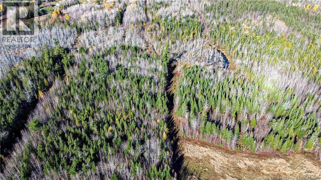Lot Homestead Road, Salisbury, New Brunswick  O0O 0O0 - Photo 11 - NB129467