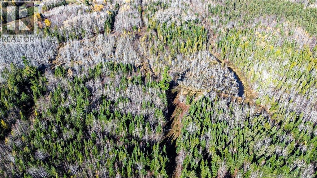 Lot Homestead Road, Salisbury, New Brunswick  O0O 0O0 - Photo 12 - NB129467