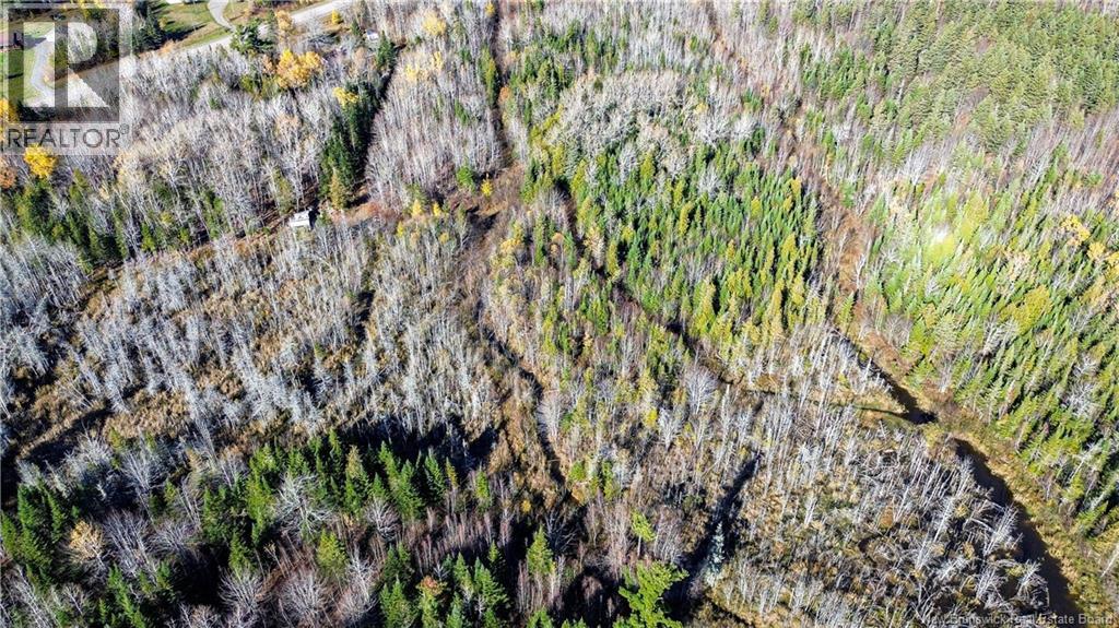 Lot Homestead Road, Salisbury, New Brunswick  O0O 0O0 - Photo 13 - NB129467