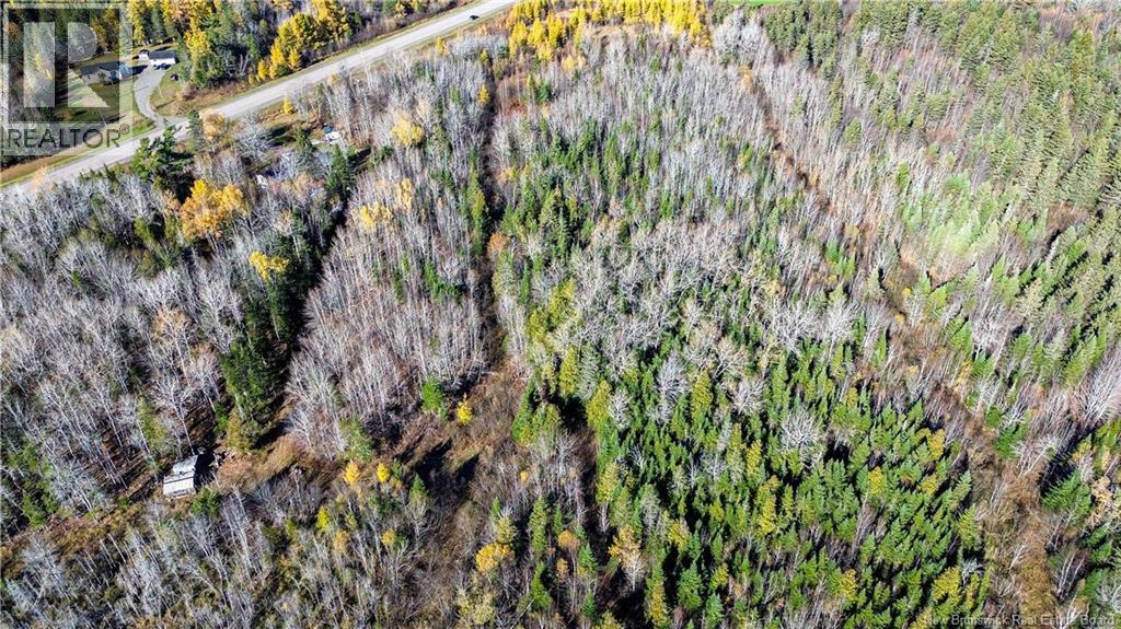 Lot Homestead Road, Salisbury, New Brunswick  O0O 0O0 - Photo 14 - NB129467
