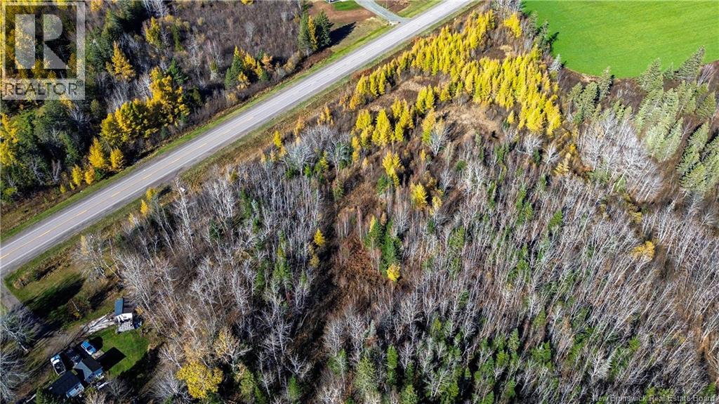 Lot Homestead Road, Salisbury, New Brunswick  O0O 0O0 - Photo 16 - NB129467