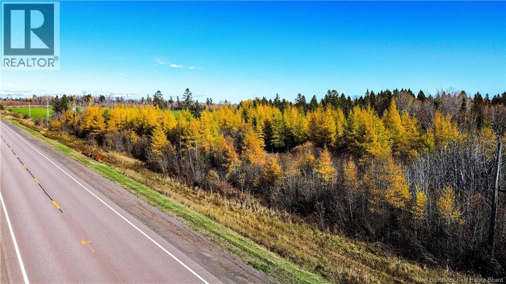 Lot Homestead Road, Salisbury, New Brunswick  O0O 0O0 - Photo 17 - NB129467
