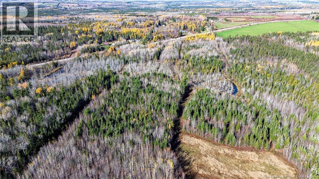 Lot Homestead Road, Salisbury, New Brunswick  O0O 0O0 - Photo 7 - NB129467