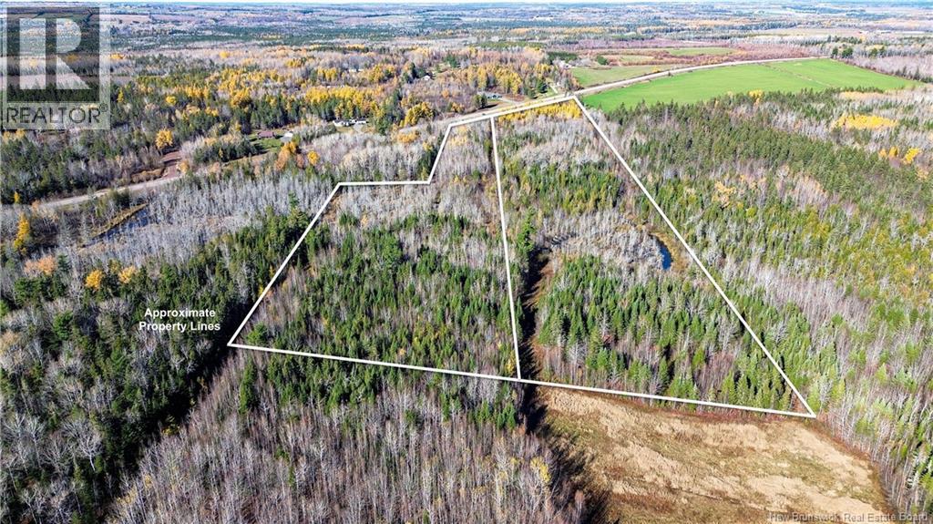 Lot Homestead Road, Salisbury, New Brunswick  O0O 0O0 - Photo 8 - NB129467