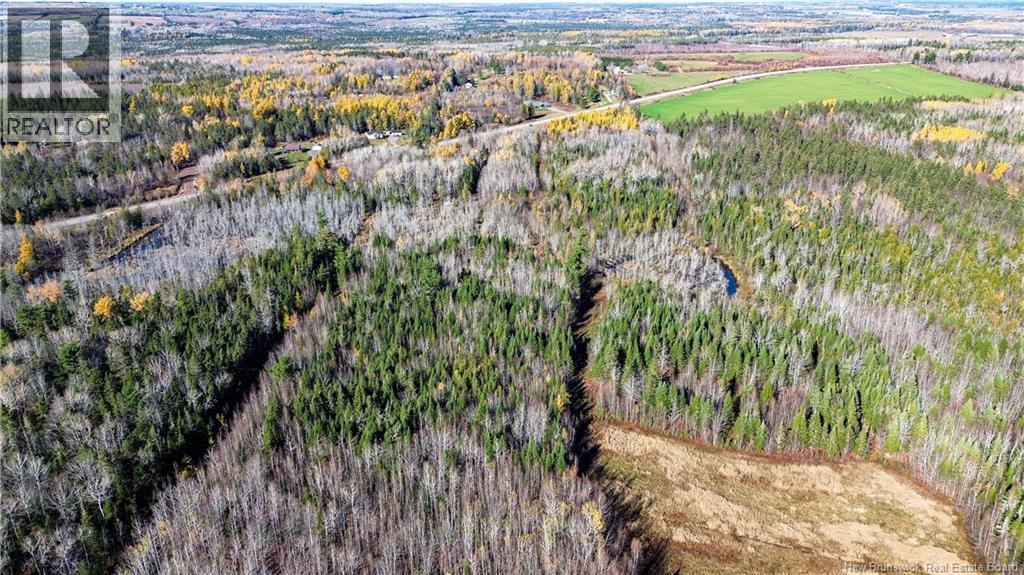 Lot Homestead Road, Salisbury, New Brunswick  O0O 0O0 - Photo 9 - NB129467