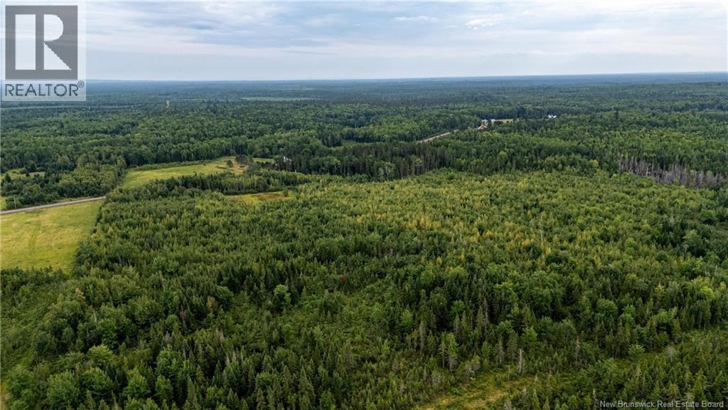 7560 Route 515, Saint-Paul, New Brunswick  E4T 3W5 - Photo 19 - NB129485