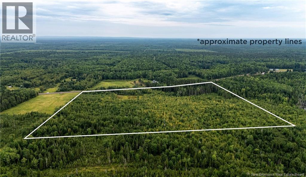 7560 Route 515, Saint-Paul, New Brunswick  E4T 3W5 - Photo 2 - NB129485
