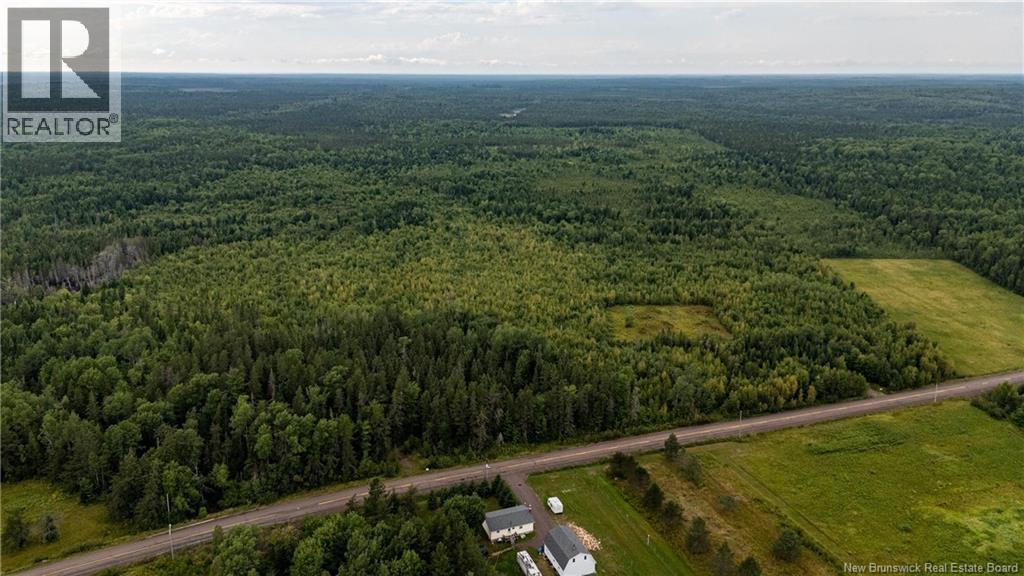 7560 Route 515, Saint-Paul, New Brunswick  E4T 3W5 - Photo 22 - NB129485