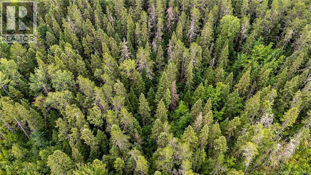 7560 Route 515, Saint-Paul, New Brunswick  E4T 3W5 - Photo 9 - NB129485