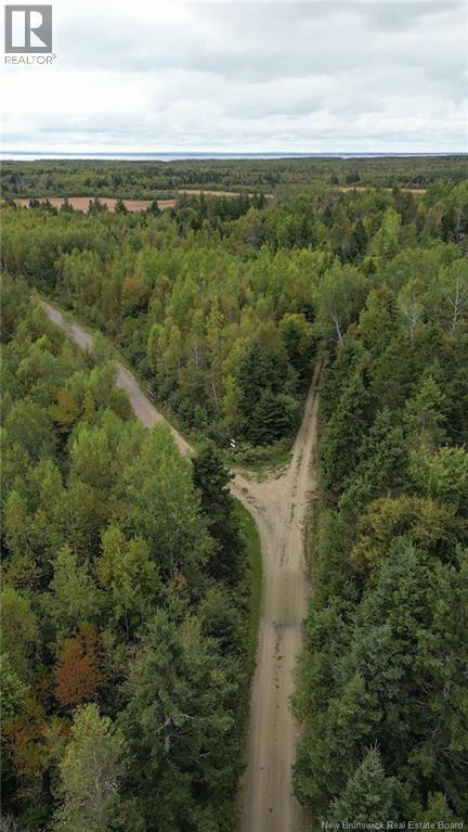 100 Hunter Lane, Malden, New Brunswick  E4M 1W9 - Photo 3 - NB129494