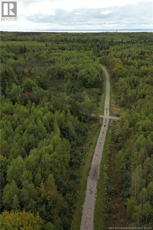 100 Hunter Lane, Malden, New Brunswick  E4M 1W9 - Photo 4 - NB129494