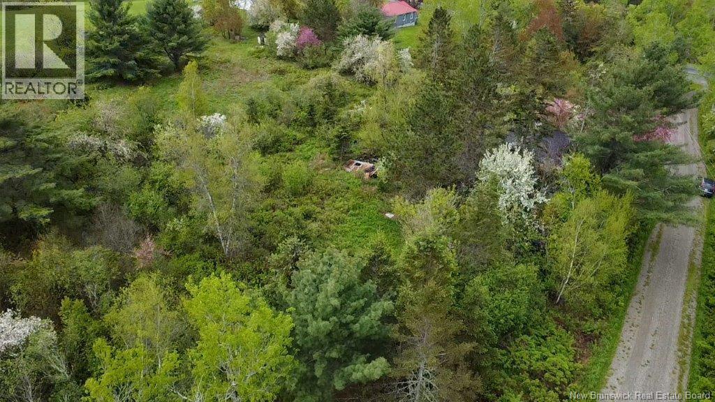 196 Ledge Road, Dufferin, New Brunswick  E3L 3P2 - Photo 8 - NB129455