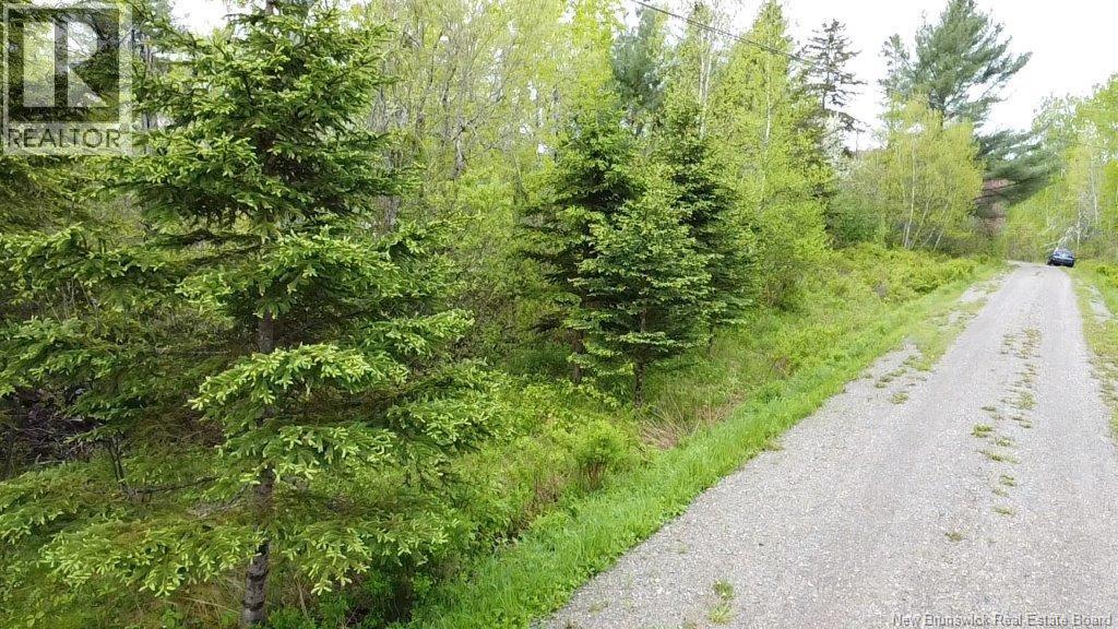 196 Ledge Road, Dufferin, New Brunswick  E3L 3P2 - Photo 9 - NB129455