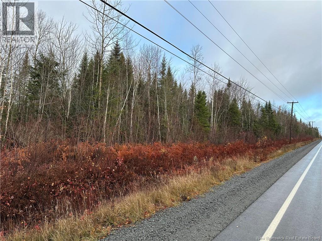 Lot 2 Route 8, Mcgivney, New Brunswick  E6C 1T7 - Photo 2 - NB129321