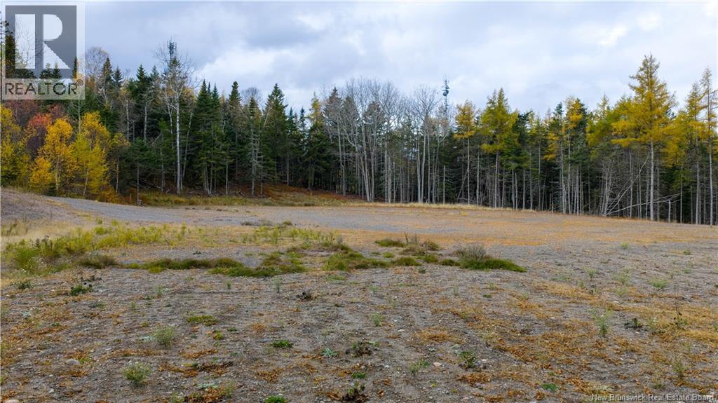 Route 172, St George, New Brunswick  E5C 3C6 - Photo 13 - NB129264