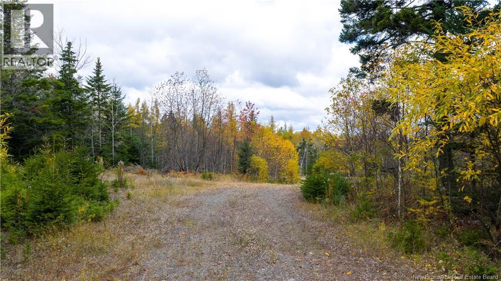 Route 172, St George, New Brunswick  E5C 3C6 - Photo 14 - NB129262