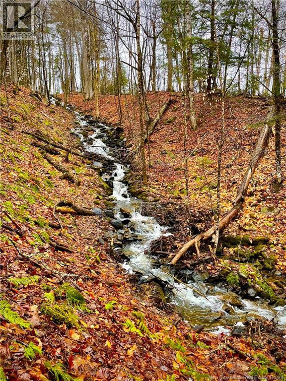 150 Leeland Way, Killarney, New Brunswick  E3A 5M7 - Photo 5 - NB129536