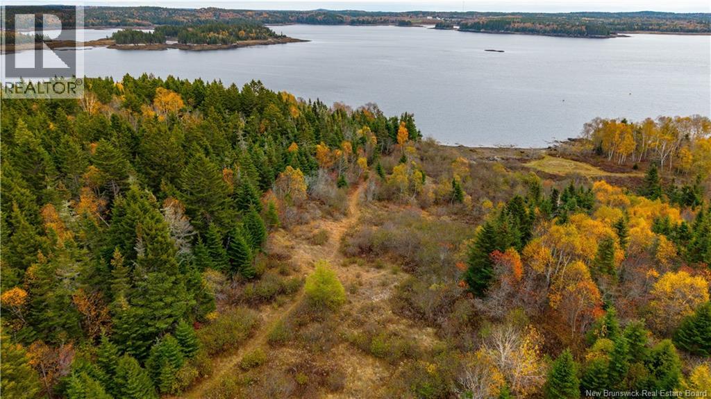 110 Artemus Hatt Road, Letang, New Brunswick  E5C 2B7 - Photo 13 - NB128983