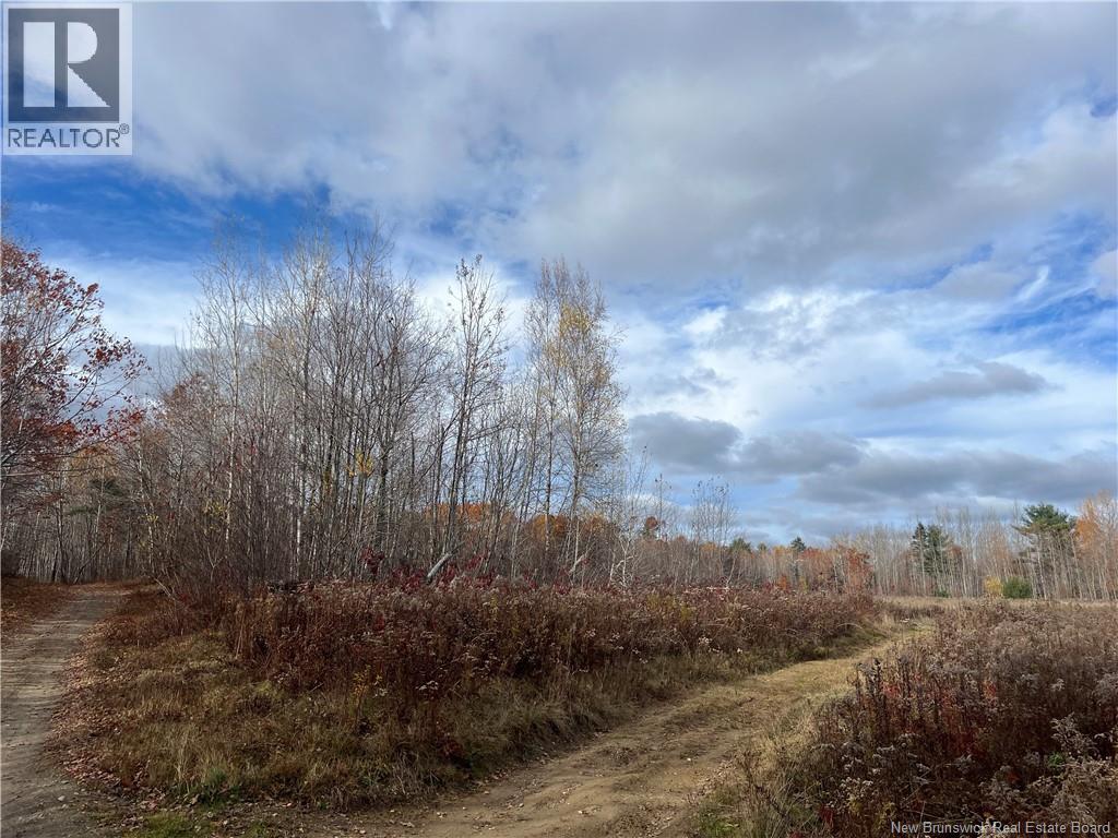02 Hall Road, Upper Mills, New Brunswick  E3L 5W8 - Photo 4 - NB129555