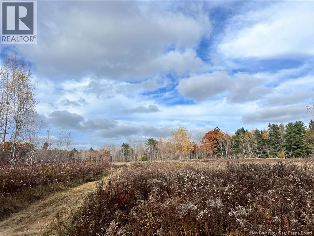 02 Hall Road, Upper Mills, New Brunswick  E3L 5W8 - Photo 5 - NB129555