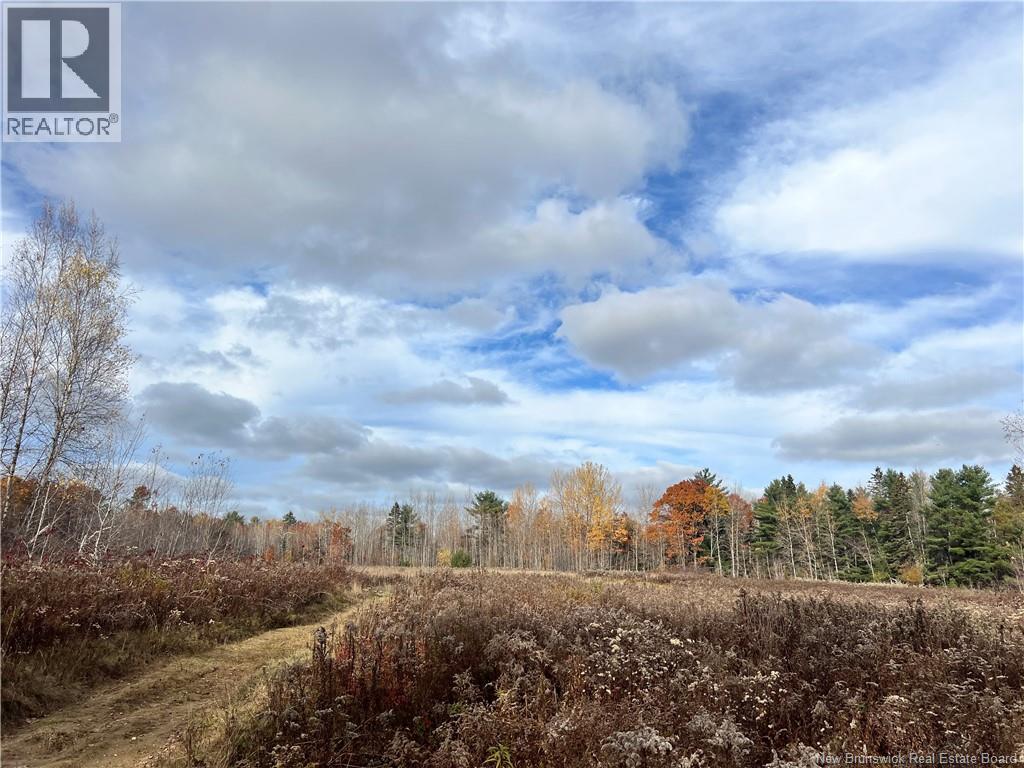 02 Hall Road, Upper Mills, New Brunswick  E3L 5W8 - Photo 7 - NB129555