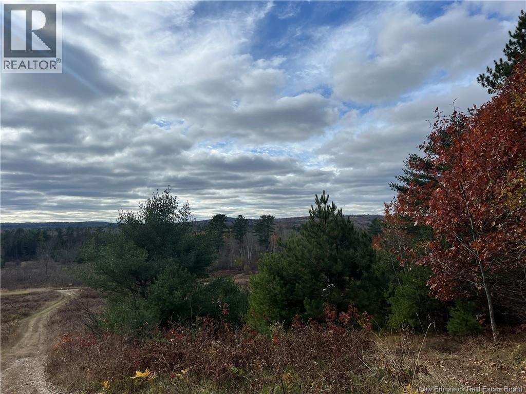 01 Hall Road, Mohannes, New Brunswick  E3L 5V8 - Photo 12 - NB129571