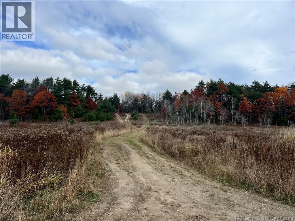01 Hall Road, Mohannes, New Brunswick  E3L 5V8 - Photo 5 - NB129571